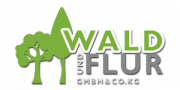 Logo Theme Basic 2